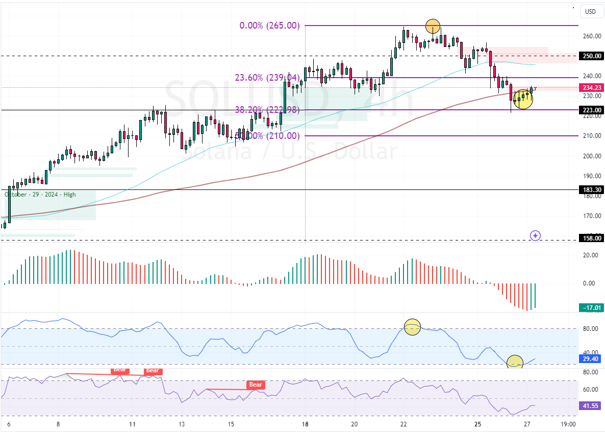 Solana Poised for a New Bullish Wave Above $223