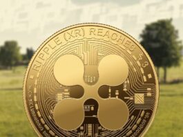 Ripple (XRP) Reaches $3 - When to Buy?